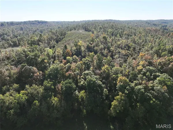 $310,000 | Off Off Highway, Annapolis, MO 63620