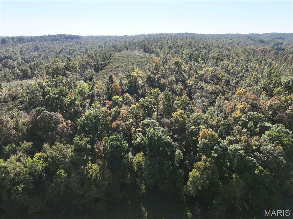 Off Off Highway Annapolis, MO 63620 - Photo 14 of 65