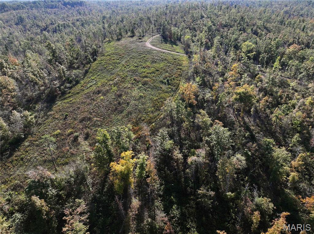 Off Off Highway Annapolis, MO 63620 - Photo 15 of 65