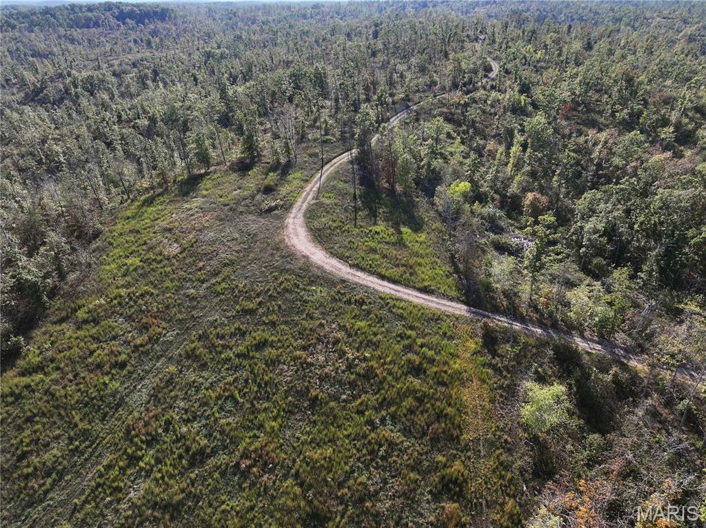 Off Off Highway Annapolis, MO 63620 - Photo 16 of 65