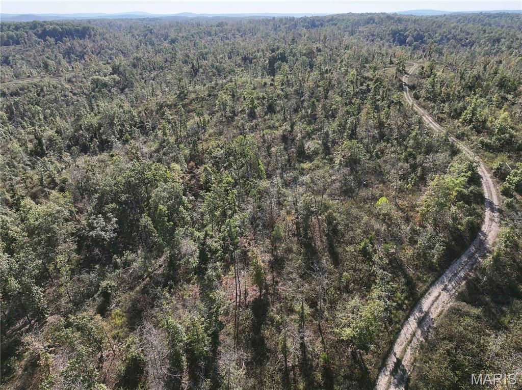 Off Off Highway Annapolis, MO 63620 - Photo 18 of 65