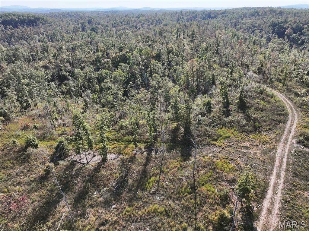 Off Off Highway Annapolis, MO 63620 - Photo 19 of 65