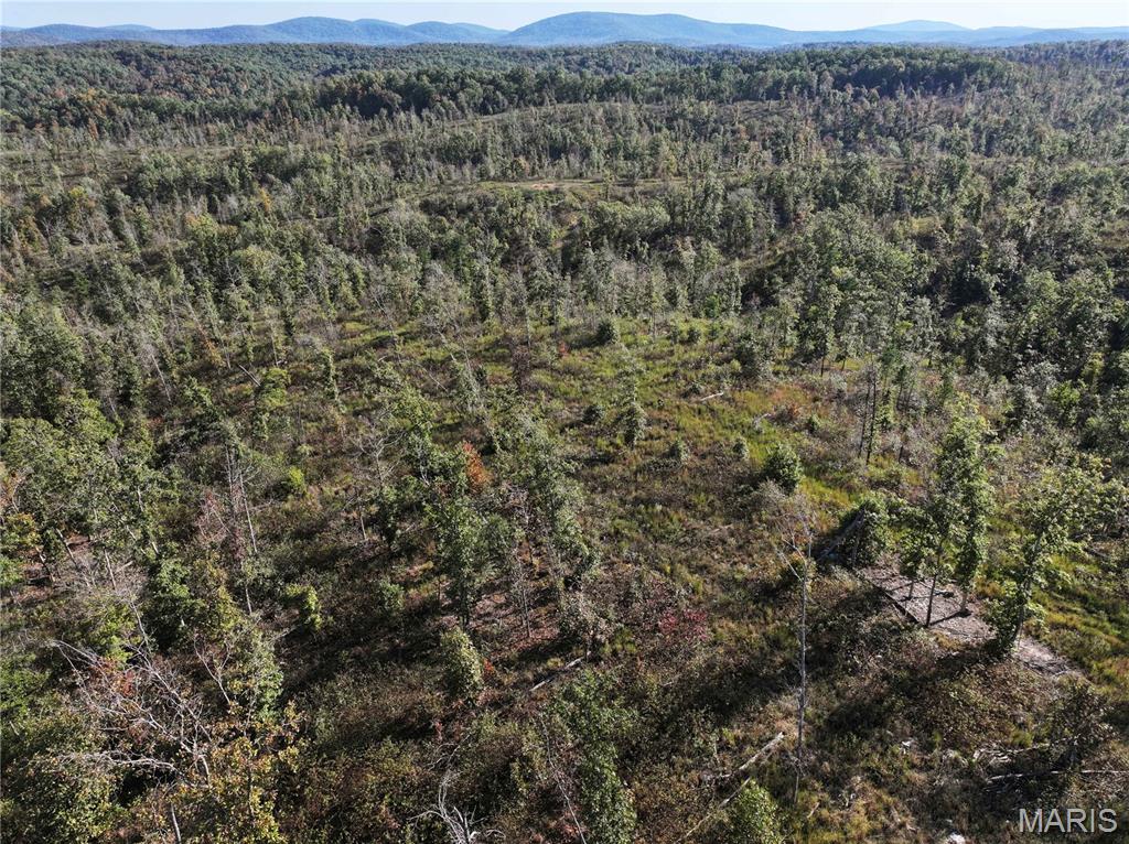 Off Off Highway Annapolis, MO 63620 - Photo 20 of 65