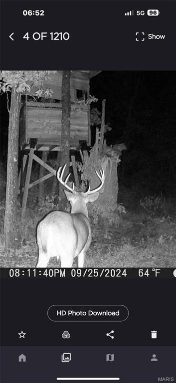 Off Off Highway Annapolis, MO 63620 - Photo 2 of 65