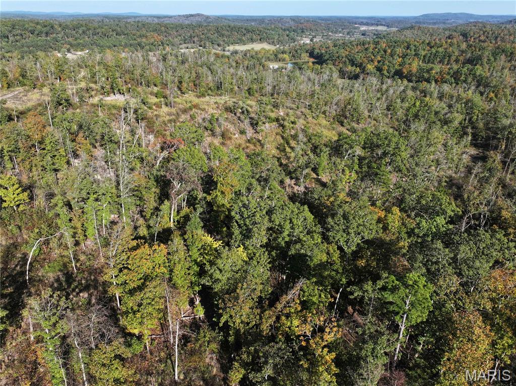 Off Off Highway Annapolis, MO 63620 - Photo 21 of 65