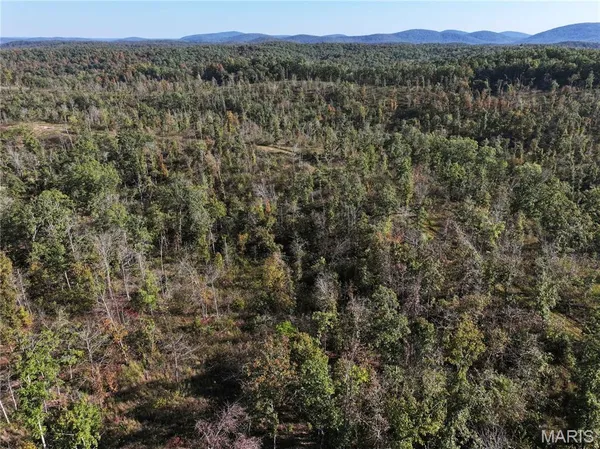$310,000 | Off Off Highway, Annapolis, MO 63620
