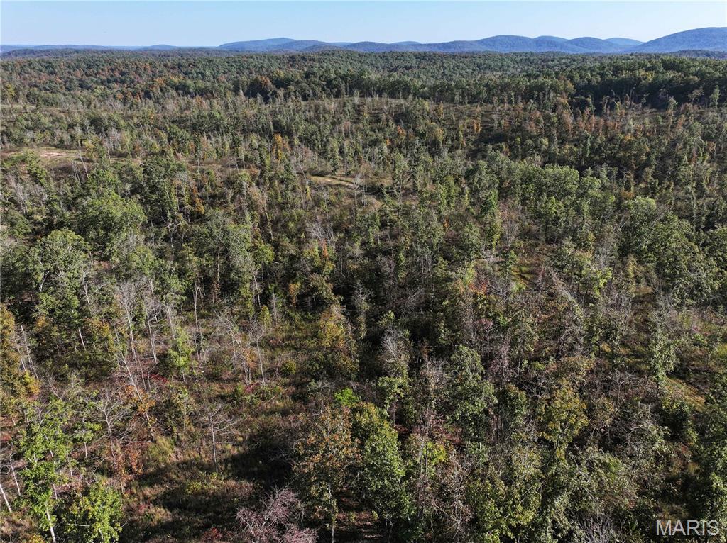 Off Off Highway Annapolis, MO 63620 - Photo 22 of 65