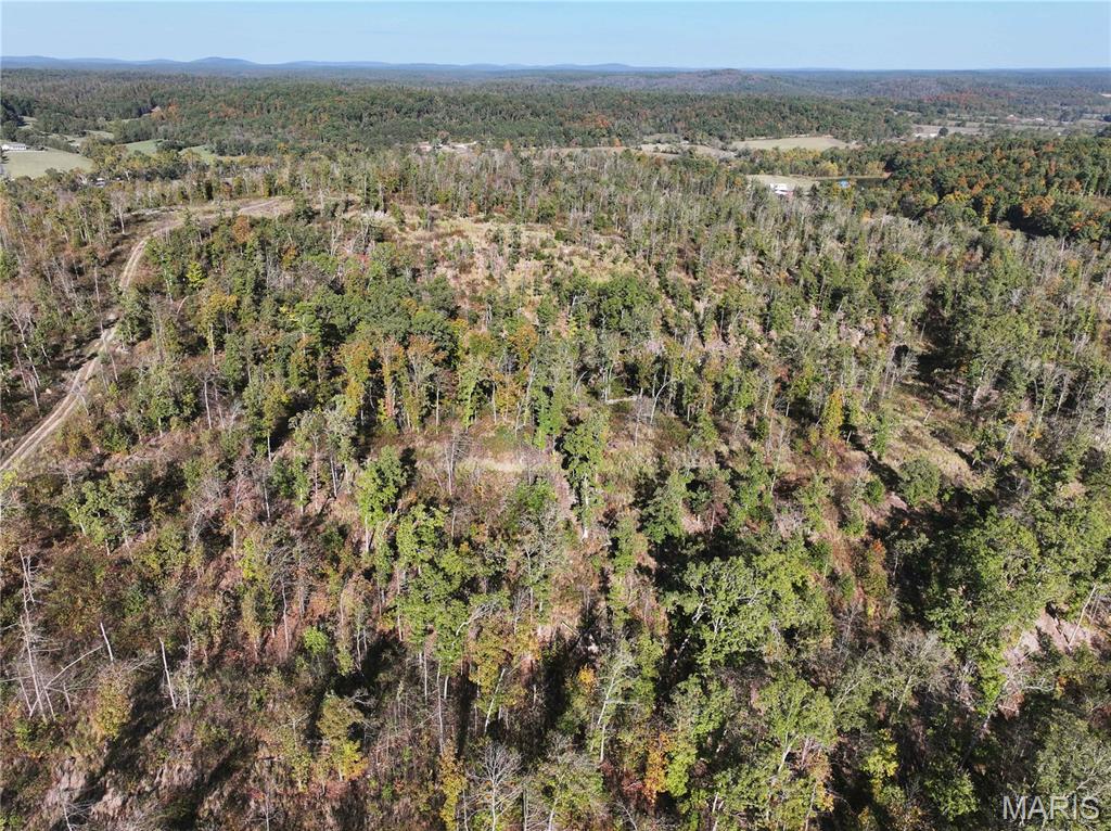 Off Off Highway Annapolis, MO 63620 - Photo 23 of 65