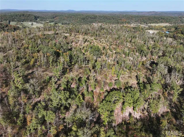 $323,950 | Off Off Highway, Annapolis, MO 63620