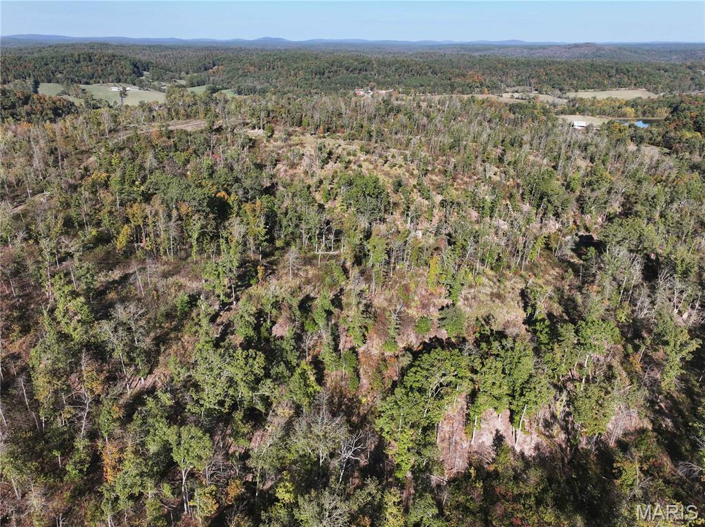 Off Off Highway Annapolis, MO 63620 - Photo 24 of 65