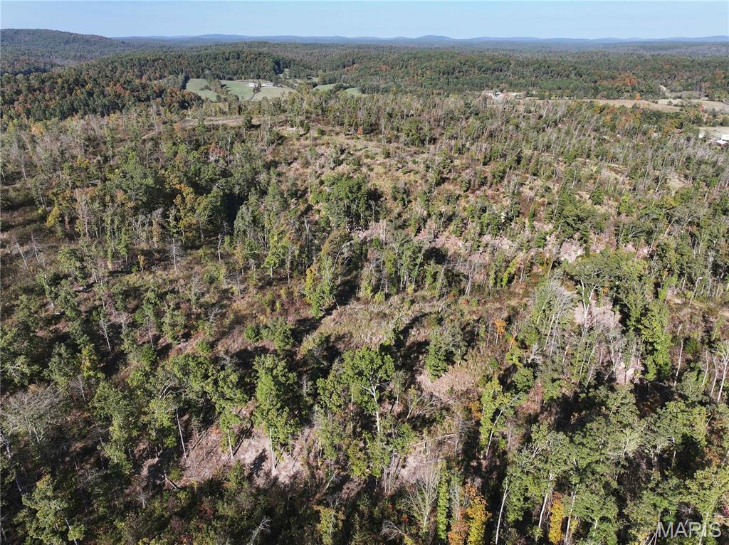 Off Off Highway Annapolis, MO 63620 - Photo 25 of 65