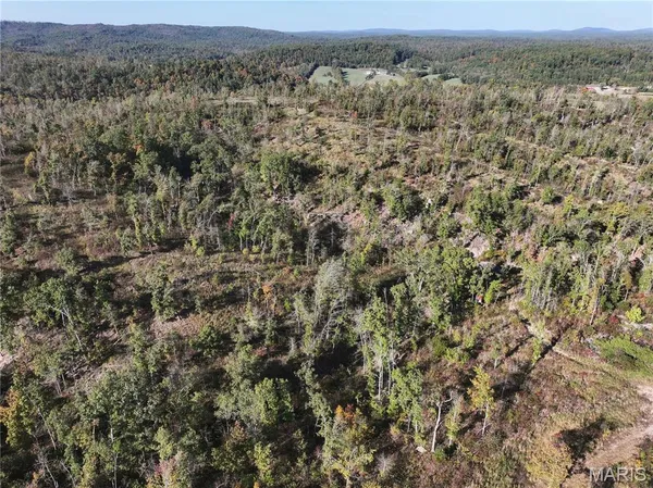 $310,000 | Off Off Highway, Annapolis, MO 63620