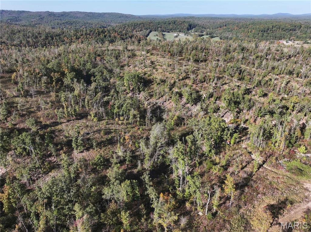 Off Off Highway Annapolis, MO 63620 - Photo 26 of 65