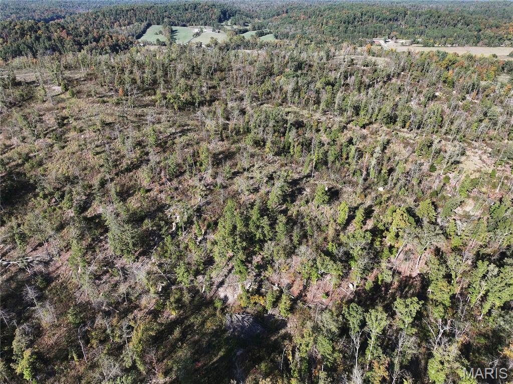 Off Off Highway Annapolis, MO 63620 - Photo 27 of 65