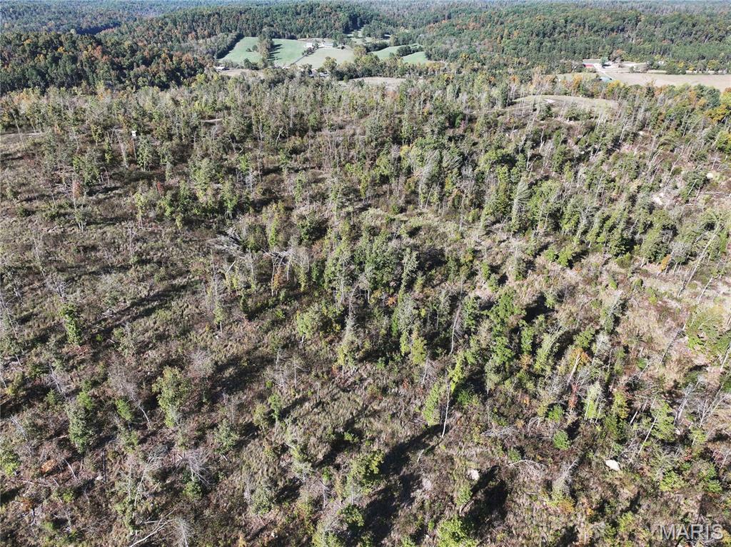 Off Off Highway Annapolis, MO 63620 - Photo 28 of 65