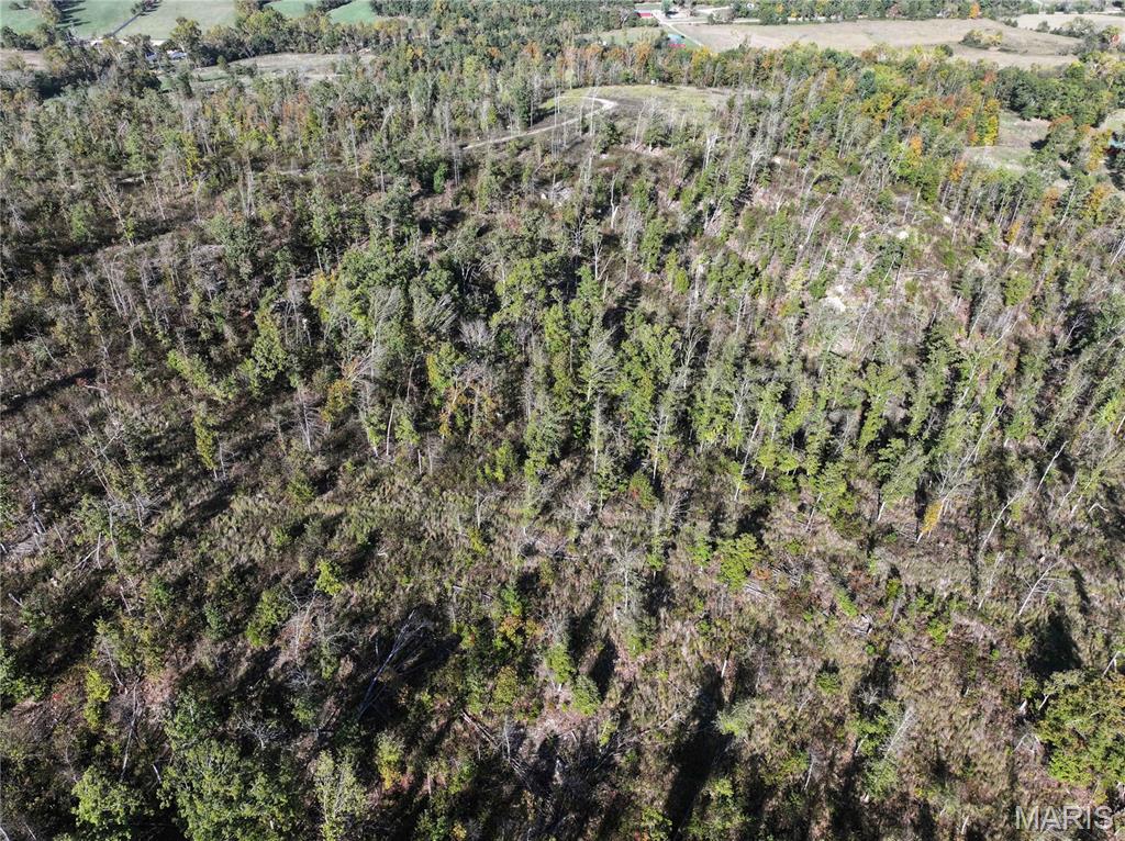 Off Off Highway Annapolis, MO 63620 - Photo 29 of 65