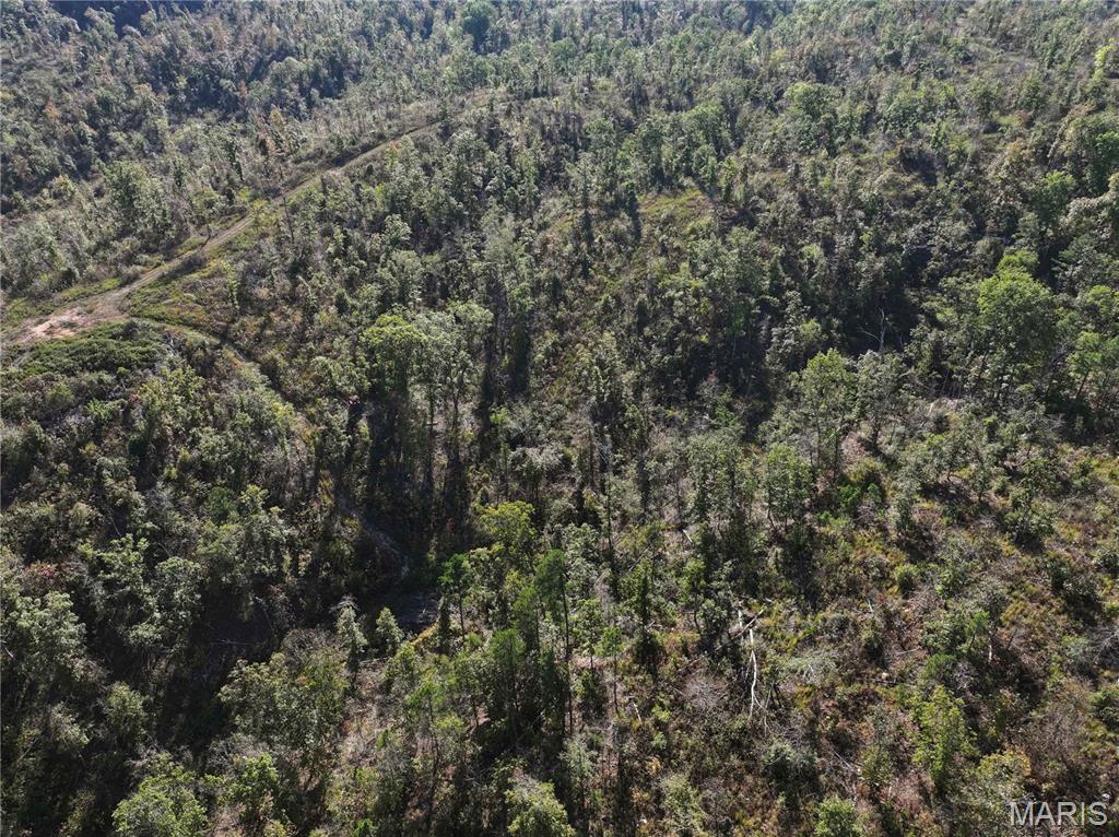 Off Off Highway Annapolis, MO 63620 - Photo 30 of 65