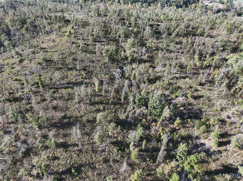 Off Off Highway Annapolis, MO 63620 - Photo 31 of 65