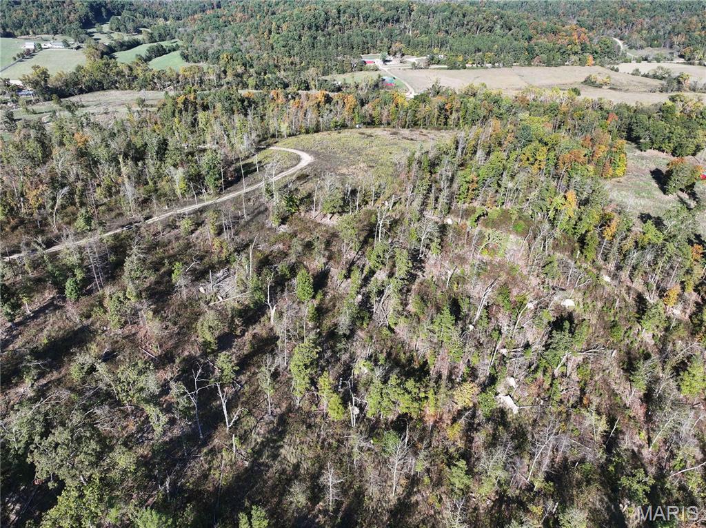 Off Off Highway Annapolis, MO 63620 - Photo 32 of 65