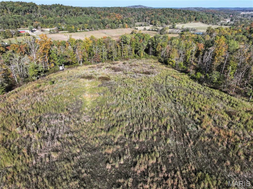 Off Off Highway Annapolis, MO 63620 - Photo 34 of 65