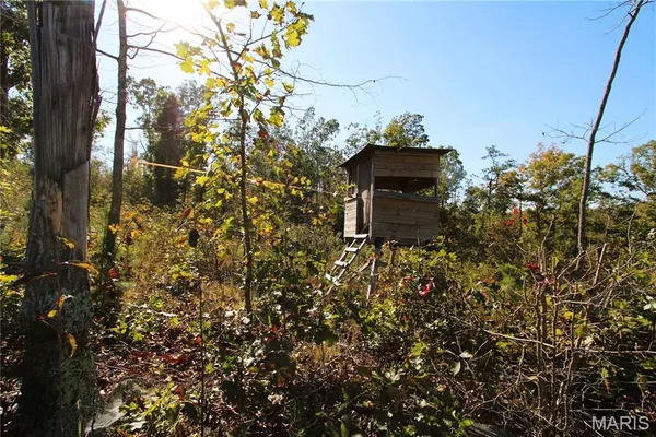$310,000 | Off Off Highway, Annapolis, MO 63620