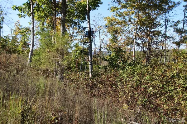 $310,000 | Off Off Highway, Annapolis, MO 63620