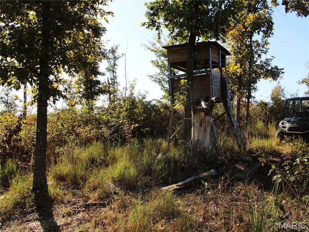 Off Off Highway Annapolis, MO 63620 - Photo 45 of 65