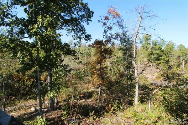 $310,000 | Off Off Highway, Annapolis, MO 63620