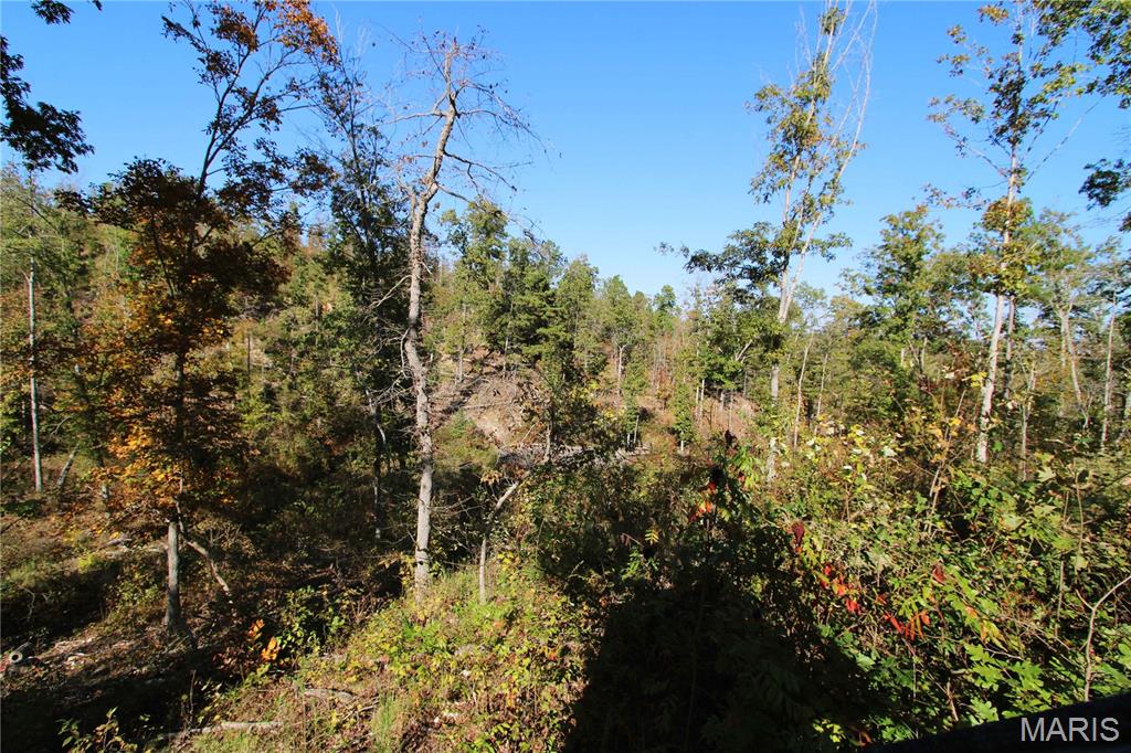 Off Off Highway Annapolis, MO 63620 - Photo 48 of 65