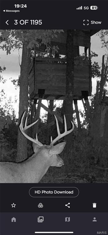 Off Off Highway Annapolis, MO 63620 - Photo 5 of 65