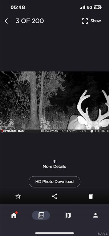 Off Off Highway Annapolis, MO 63620 - Photo 54 of 65