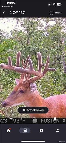 $323,950 | Off Off Highway, Annapolis, MO 63620