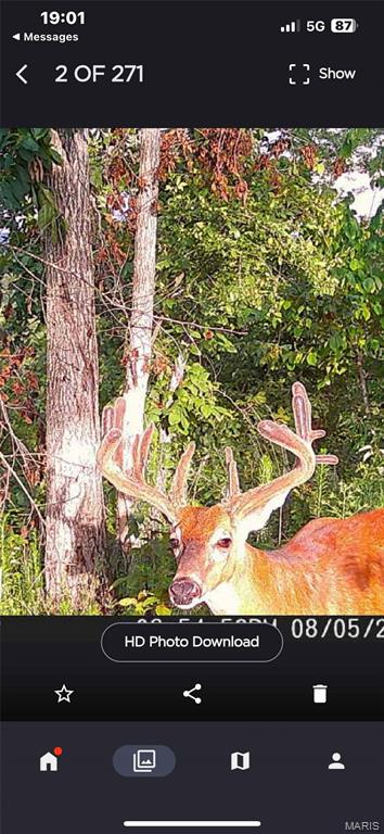 Off Off Highway Annapolis, MO 63620 - Photo 56 of 65