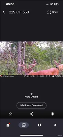 $323,950 | Off Off Highway, Annapolis, MO 63620