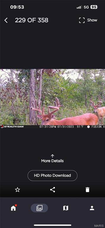 Off Off Highway Annapolis, MO 63620 - Photo 57 of 65