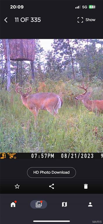 Off Off Highway Annapolis, MO 63620 - Photo 58 of 65