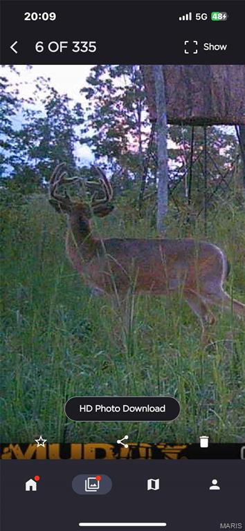 Off Off Highway Annapolis, MO 63620 - Photo 59 of 65