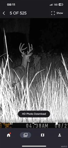 $323,950 | Off Off Highway, Annapolis, MO 63620