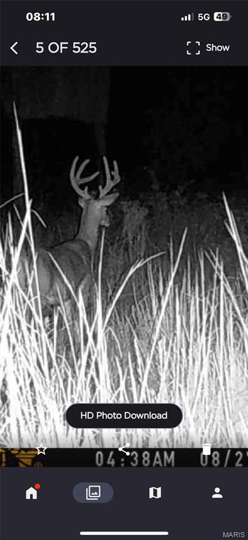 Off Off Highway Annapolis, MO 63620 - Photo 60 of 65