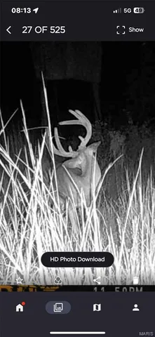 $323,950 | Off Off Highway, Annapolis, MO 63620