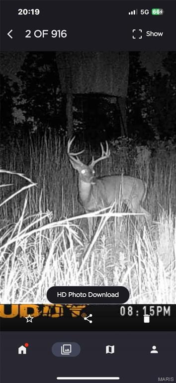 Off Off Highway Annapolis, MO 63620 - Photo 62 of 65