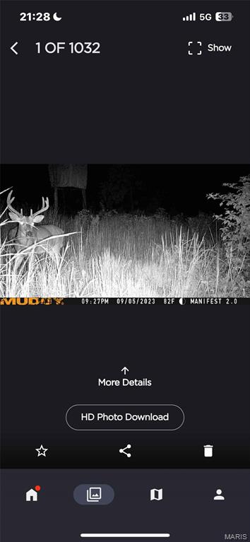 Off Off Highway Annapolis, MO 63620 - Photo 63 of 65