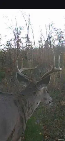 $323,950 | Off Off Highway, Annapolis, MO 63620