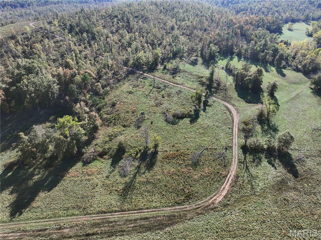 Off Off Highway Annapolis, MO 63620 - Photo 9 of 65