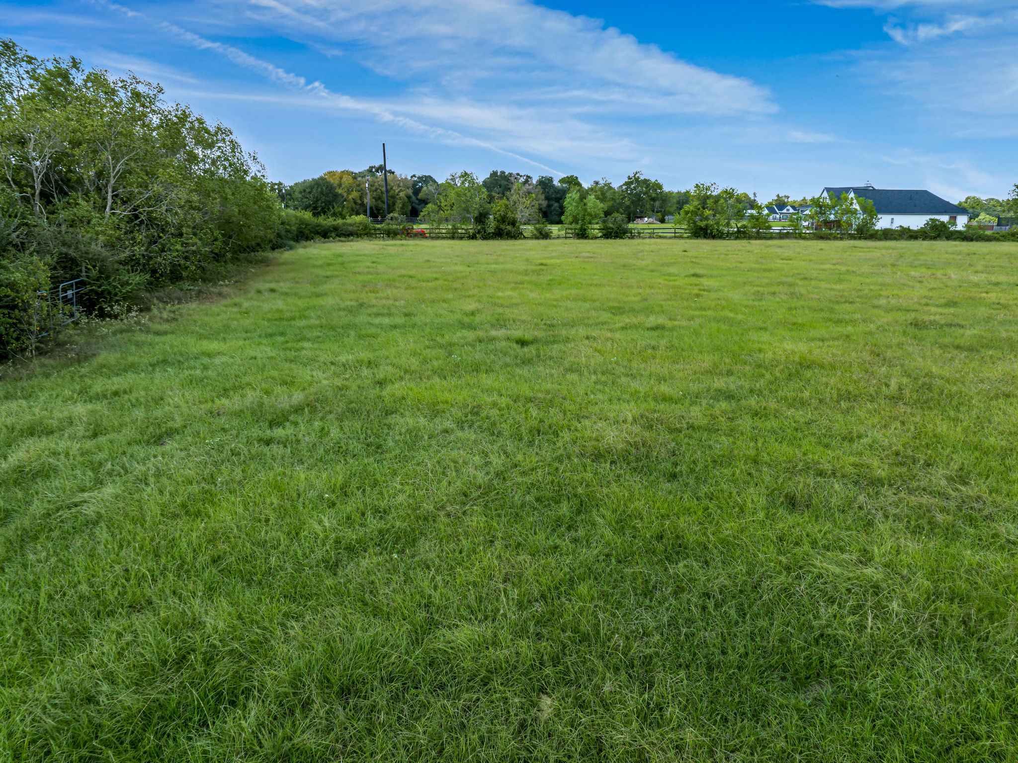 37280 Clapp Road Brookshire, TX 77423 - Photo 6 of 34 Mature trees outline a level, grassy pasture under a clear blue sky.