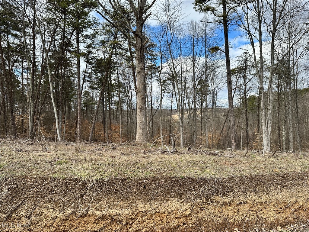 0 Fisher Ridge Road Fleming, OH 45729 - Photo 2 of 6 View of nature