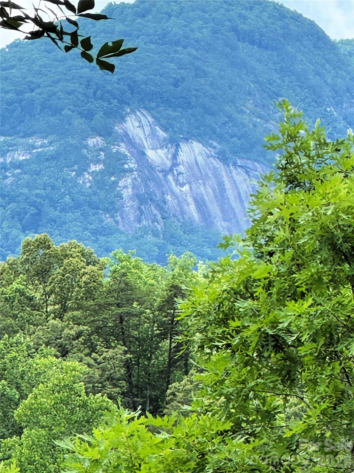 0 Herman Wilson Road Lake Lure, NC 28746 - Photo 11 of 22