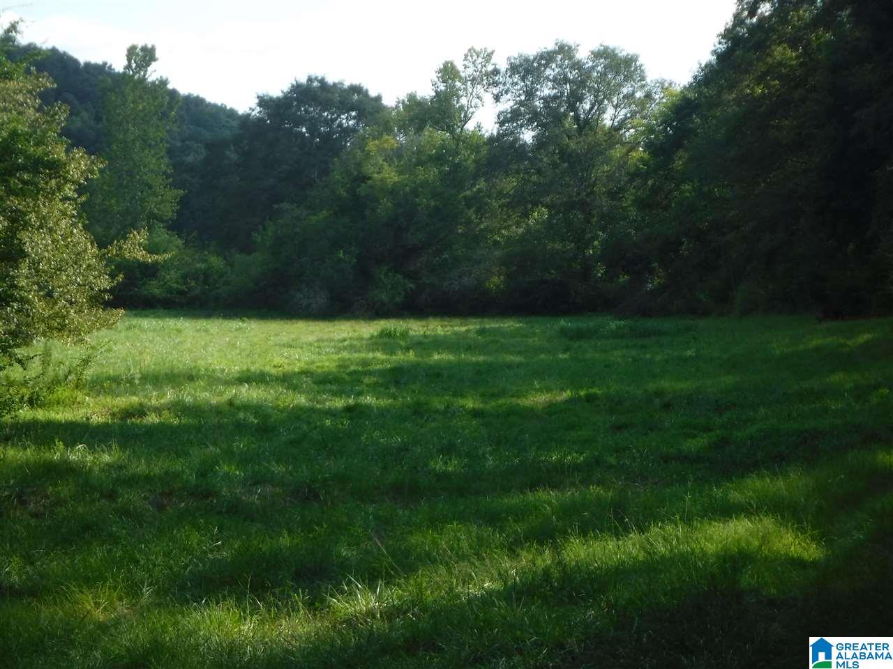 205 Venable Road Odenville, AL 35120 - Photo 2 of 11