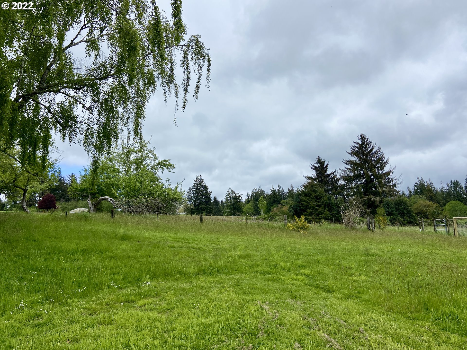 92715 T T Larson Road Astoria, OR 97103 - Photo 4 of 8 Gallery Image 4