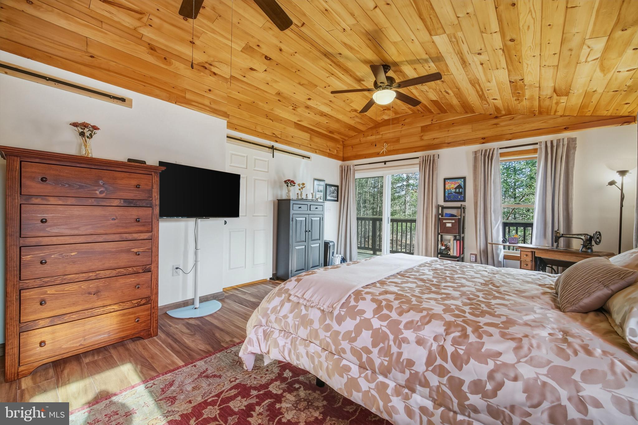 151 Patrick Lane Mount Jackson, VA 22842 - Photo 20 of 55 Primary Bedroom